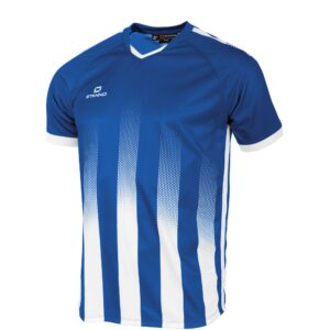 Vivid Jersey - Royal/White