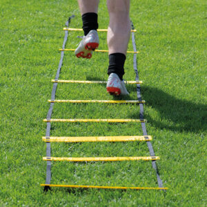 Adjustable Speed Ladder 