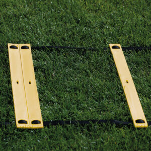 Alternative view of Adjustable Speed Ladder 